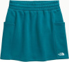 Юбка TNF W Evolution Skirt (Женский; S; BlueMoss)